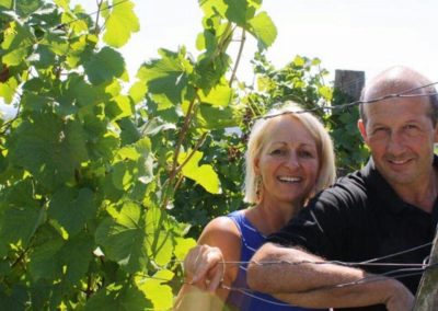 Producteur de vins Alsace