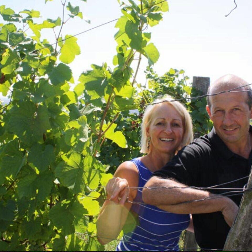 14502797_127462811050414_763170203743559693_n_11zon Producteur de vins Alsace