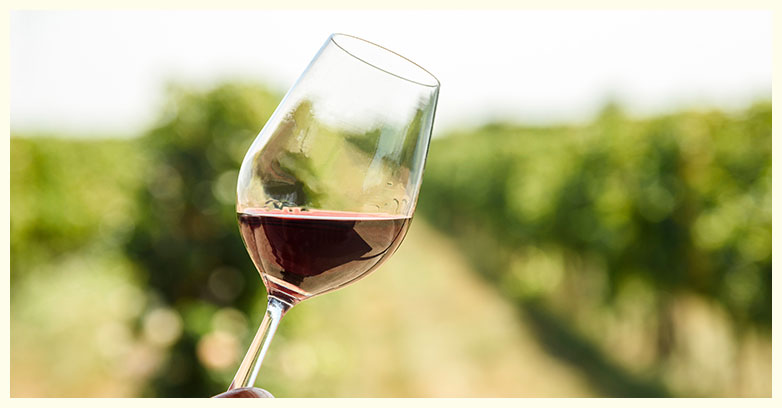 Producteur de vins bio à Molsheim